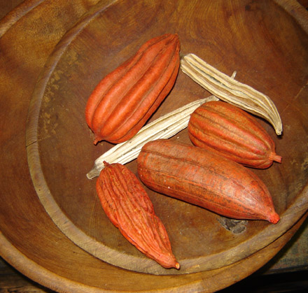 FH103 Dried Orange Pods & Okra-