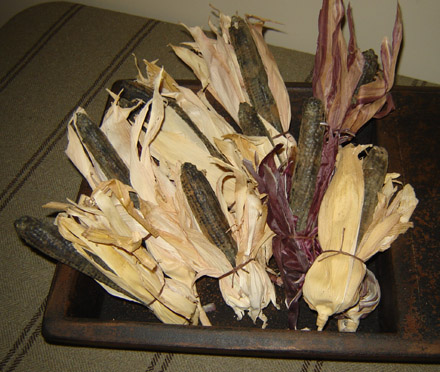 FH124 Wax Corn in Husks-