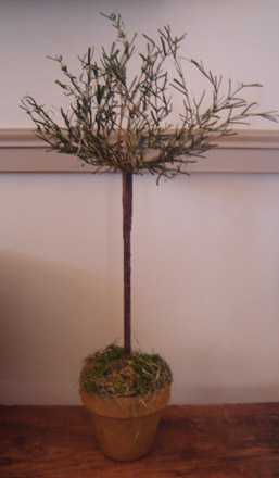 MO152 Herb Topiary-
